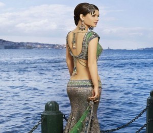 5353_eautiful-indian-women-3