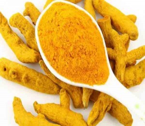3462_8991_haldi-600x427