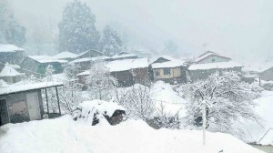 0shimla2_1425317210