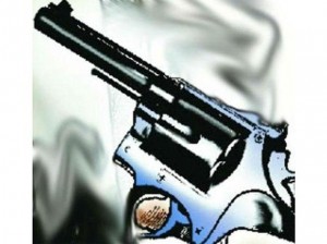 Gun