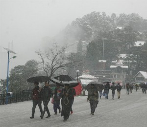 shimla8_1425317214