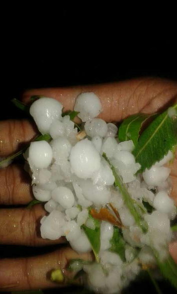 शिवपुरी में ओले गिरे —आसपास के क्षेत्रों में भी ओले गिरने का डर