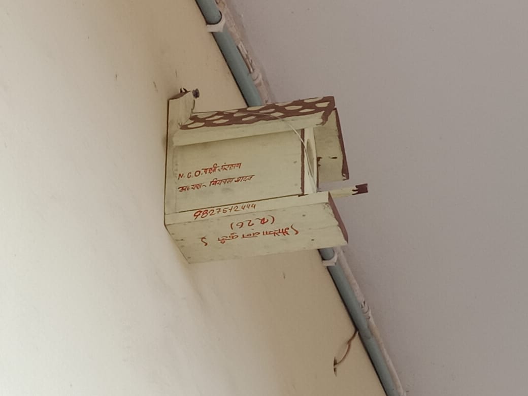 गौरैया संरक्षण : गौरैया को मिला नया आशियाना