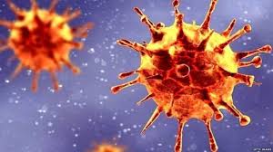 देश में नहीं आया नया वायरस:AIDS रिसर्च इंस्टीट्यूट ने कहा- न ब्रिटेन का वायरस हमारे यहां आया, न हमारे यहां का वायरस बदला