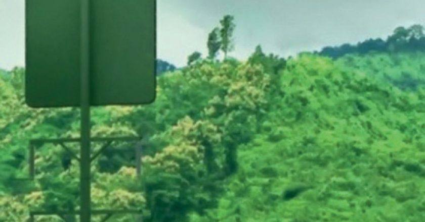 न्यूजीलैंड में बिना तारों के होगी बिजली सप्लाई:माइक्रोवेव की पतली बीम के रूप में घरों तक बिजली पहुंचाई जाएगी, इंसान-अन्य डिवाइस को खतरा नहीं