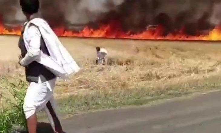 किसानों की मेहनत राख:हार्वेस्टर की चिंगारी से खेतों में आग लगी, फसल जलती देख एक किसान ने हंसिए से काटना शुरू कर दिया
