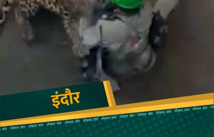 इंदौर में घुसा तेंदुआ:खंडवा रोड पर रहवासी क्षेत्र में हड़कंप, एक ही परिवार के तीन सहित चार लोग घायल, 23 घंटे बाद ट्रैंक्युलाइज कर पकड़ा