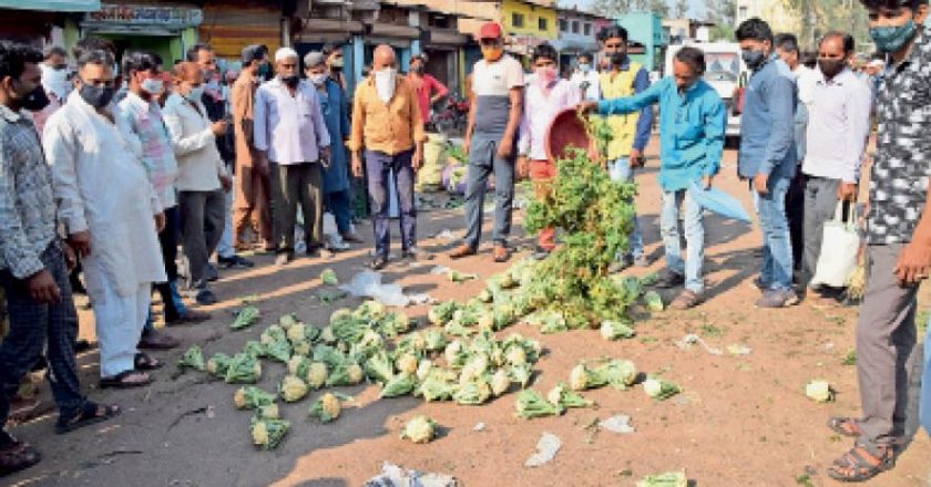 कम समय देने का विरोध:मंडी में अफसरों की अभद्रता से भड़के व्यापारी हजारों की सब्जियां मवेशियों के सामने फेंकीं