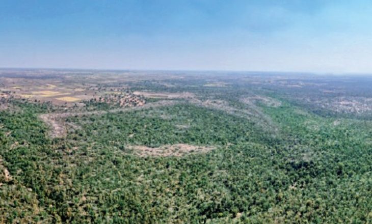 देश का सबसे बड़ा हीरा भंडार मिला:बकस्वाहा के जंगल में हैं 3.42 करोड़ कैरेट के हीरे, 2.15 लाख पेड़ काटकर निकालेंगे