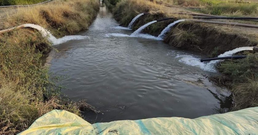 साथी हाथ बढ़ाना:5 किसान अपने तालाब और ट्यूबवेल से सूखी नहर में पानी डालकर दूसरे किसानों की बचा रहे फसल, 60 से 70 एकड़ फसल की हो रही सिंचाई; नाम दिया टेल-टू-हेड