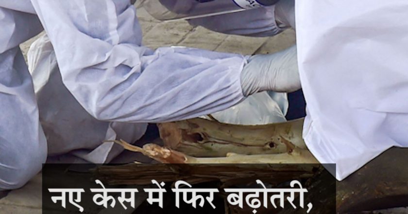 कोरोना देश में:नए केस में फिर बढ़ोतरी, 24 घंटे में 3.62 लाख मरीज मिले और 3.52 लाख ठीक हुए; लगातार दूसरे दिन 4 हजार से ज्यादा मौतें
