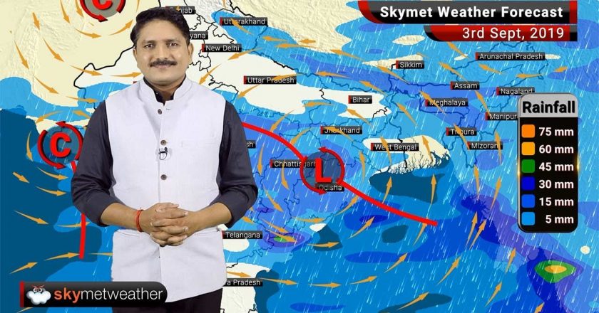 स्काईमेट का मानसून आ गया, IMD का 3 जून को:2012 से हर साल अलग भविष्यवाणी; 2015 में दोनों ने कहा था 100% से ज्यादा बारिश होगी, हुई 86%