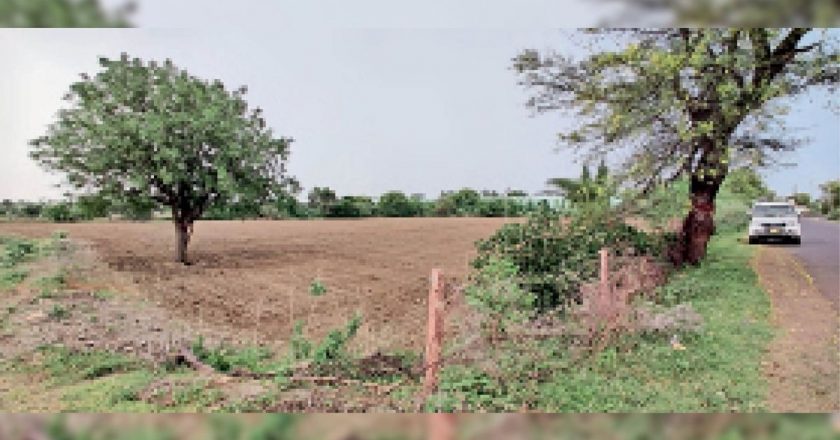 तहसीलदार न्यायालय ने जारी किए आदेश:1 करोड़ 41 लाख की वसूली के लिए हथोड़ा की 11 बीघा जमीन होगी कुर्क