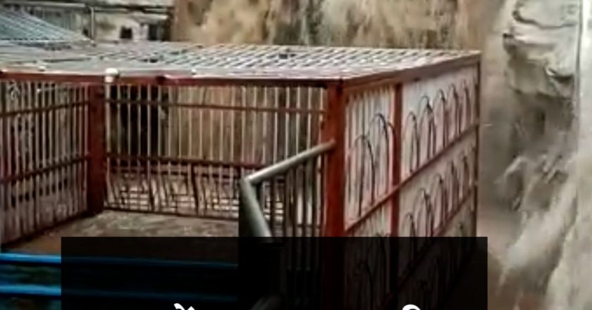 MP में झमाझम:प्रदेश के अधिकतर हिस्सों में बारिश, तवा डैम का जलस्तर बढ़ा; भोपाल में 2 डिग्री गिरा तापमान, 4 दिन तक इसी तरह बारिश होगी