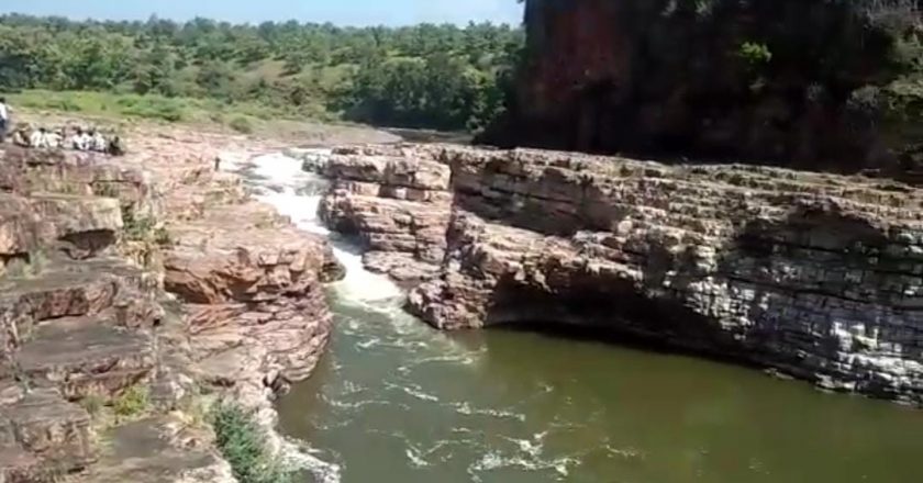 नदी में डूबने से पटवारी की मौत:इंदौर के 8 पटवारी दोस्त पिकनिक मनाने बड़वाह के जंगल में गए थे, चोरल नदी में डूबने से एक की मौत; इंटरनेट पर सर्च की थी जगह