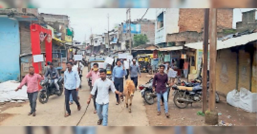 विराेध-प्रदर्शन:कांग्रेस के डर से नगर पालिका प्रशासन ने मवेशियों को घेर कर किया शहर से बाहर