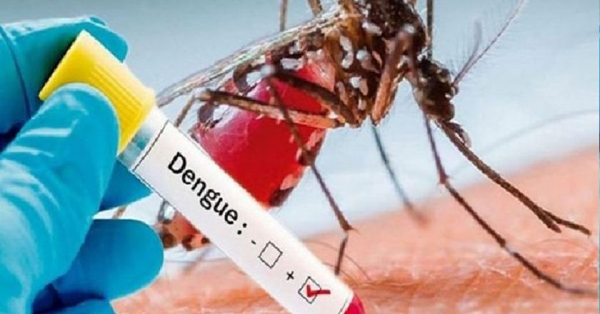 मप्र में डेंगू के 2200 केस:मंदसौर में 46 नए मरीज, संख्या 821 पहुंची; भोपाल में वायरल फीवर से 8 साल की बच्ची की मौत, डेंगू से आगर मालवा के डॉक्टर की जान गई