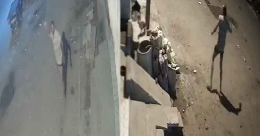 डॉग के बच्चे को मारने पर केस दर्ज:विदिशा में युवक ने डॉग के दो बच्चों को मारे पत्थर, एक मृत, दूसरा घायल