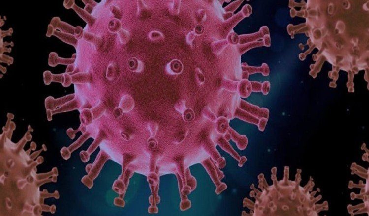 कोरोना देश में LIVE:गुजरात के जामनगर में ओमिक्रॉन का केस मिला, दक्षिण अफ्रीका से लौटा था शख्स; भारत में अब कुल 3 मामले