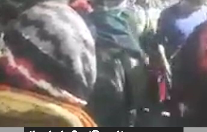 वैष्णो देवी मंदिर हादसे में चश्मदीद का दावा:CRPF ने किसी VIP के लिए लोगों को डंडों से डराया था, इससे भगदड़ मच गई; 12 श्रद्धालुओं की मौत