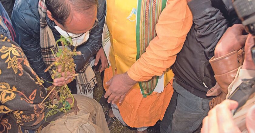 फसल नुकसान देखने पहुंचे शिवराज:पैर पर गिरकर किसान बोला- सब खत्म हो गया…….मुख्यमंत्री ने खर्च पूछकर कलेक्टर से कहा-दादा-अम्मा के पास शाम तक 50 हजार रुपए भिजवा देना