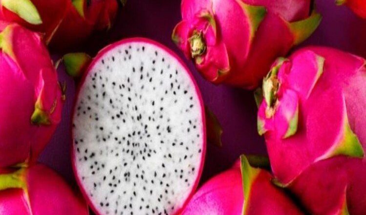 कोरोना दुनिया में LIVE:चीन के 9 शहरों में ड्रैगन फ्रूट में कोविड मिला, कई सुपरमार्केट बंद; वियतनाम से आए थे फल