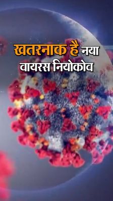 अब नियोकोव वैरिएंट से दहशत:वुहान के वैज्ञानिकों का बड़ा दावा- इस संक्रमण से हर 3 मरीज में से 1 की मौत होगी, द. अफ्रीका में मिला नया वैरिएंट