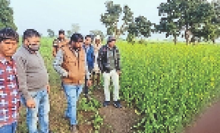ओला प्रभावित गांवों में सीएम का दौरा:लटेरी में 1700 से अधिक किसानों की फसलें बर्बाद; सीएम आज लटेरी के ओला प्रभावित गांवों में पहुंचेगे