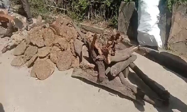 विदिशा के गांव मोहाली में मुक्तिधाम नहीं:श्मशान की मांग को लेकर रास्ते में शव रखकर किया प्रदर्शन, मौके पर नायब तहसीलदार पहुंच परिजनों को समझाइश देकर कराया अंतिम संस्कार