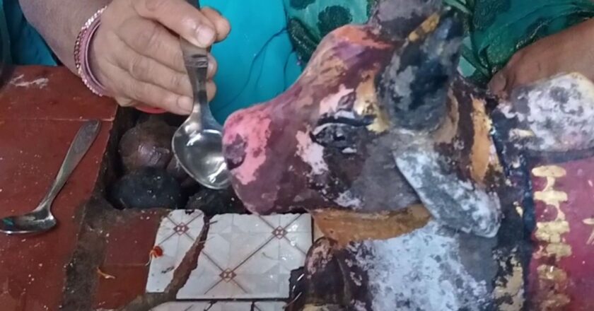 शिवालयों में चमत्कार:मंदिरों में नंदी पी रहे पानी, लगने लगी श्रद्धालुओं की भीड़, चम्मच मुंह से लगाते ही नंदी पी जाते हैं पानी
