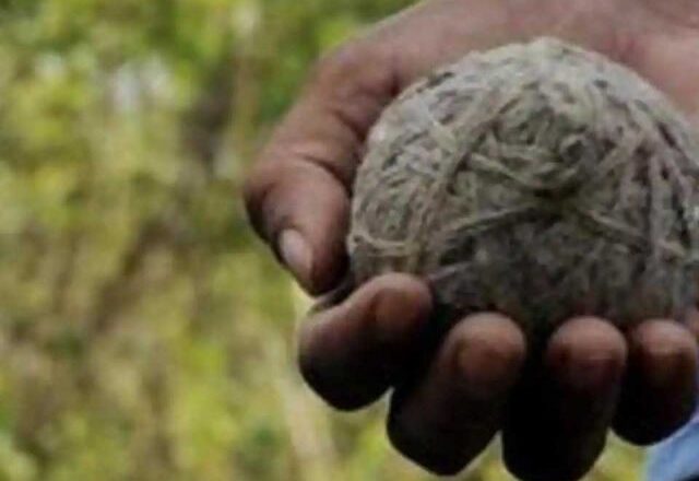 बारूद के ढेर पर बंगाल!:24 घंटे में 9 जिले से 350 से ज्यादा बम मिले, बीरभूम हिंसा के बाद पुलिस कर रही है छापेमारी