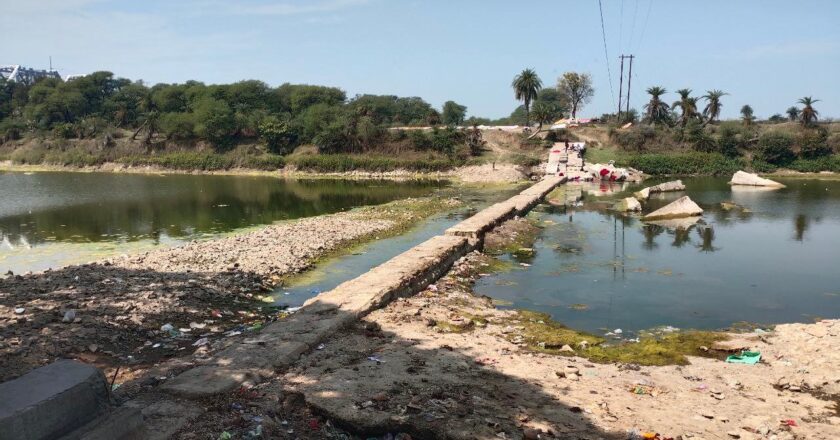 तो बारिश में टापू बन जाएगा सफली गांव