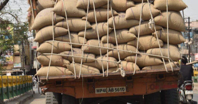 सड़कों पर ट्रक बनकर घूम रही 50 से अधिक ट्रॉलियां