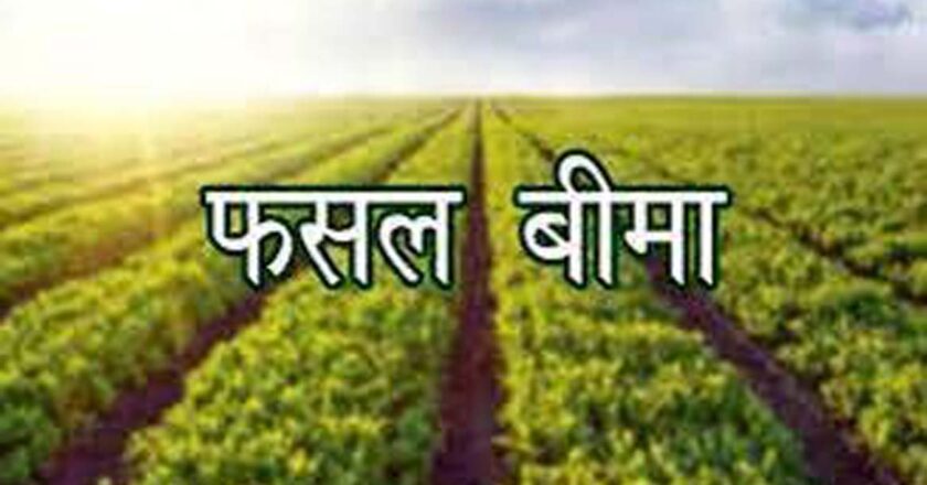 साढ़े 6 हजार किसानों को अब मिलेगी बीमा की राशि