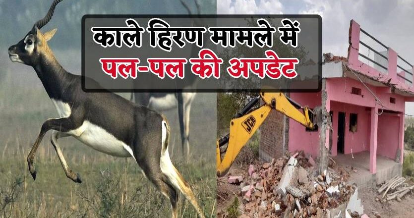 6 काले हिरणों का शिकार, सींग और प्रायवेट पार्ट भी काटे, गुना गोलीकांड के बाद दूसरा बड़ा मामला