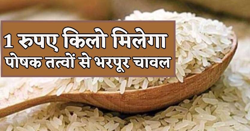 1 रुपए किलो में मिलेगा विटामिन बी 12 और पोषक तत्वों से भरपूर चावल