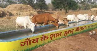 केन्द्र सरकार की टीम ने जिले की पांच गोशालाओं से लिए 60 सैम्पल