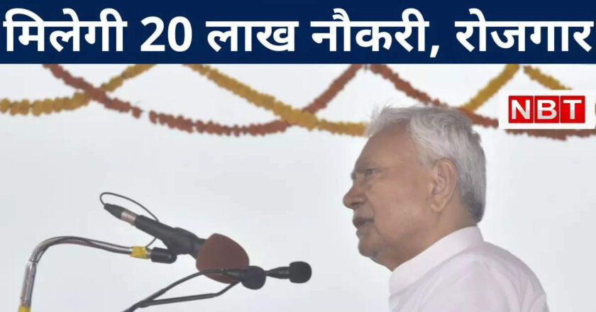 नीतीश कुमार का बड़ा ऐलान, 20 लाख युवाओं को देंगे नौकरी और रोजगार