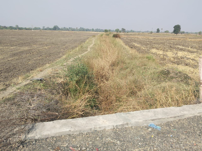 दस दिन बाद भी टेल क्षेत्र में नहीं पहुंचा नहर का पानी