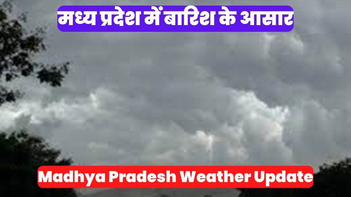 23 सालों में पहली बार भयानक कोहरा, IMD ने की भविष्यवाणी, 41 घंटे कहर ढाएगी बारिश