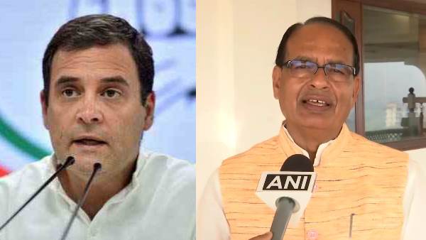 शिवराज का तंज- जहां-जहां पांव पड़े राहुल के, वहां-वहां हो गया बंटाढार