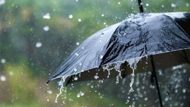 मानसून फिर लेगा करवट: 11-17 अगस्त तक होगी भारी बारिश, मौसम विभाग ने जारी किया इन राज्यों के लिए अलर्ट