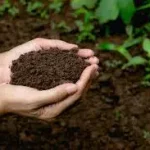 ये मिट्टी है बलिदान की… 150 क्रांतिकारियों के शहीद स्थल या जन्म स्थल की मिट्टी का संग्रह