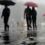 धमाकेदार बारिश का अलर्ट: एक साथ दो सिस्टम एक्टिव, अगले 4 दिन 18 जिलों में झमाझम, फिर पड़ेगी कड़ाके की ठंड
